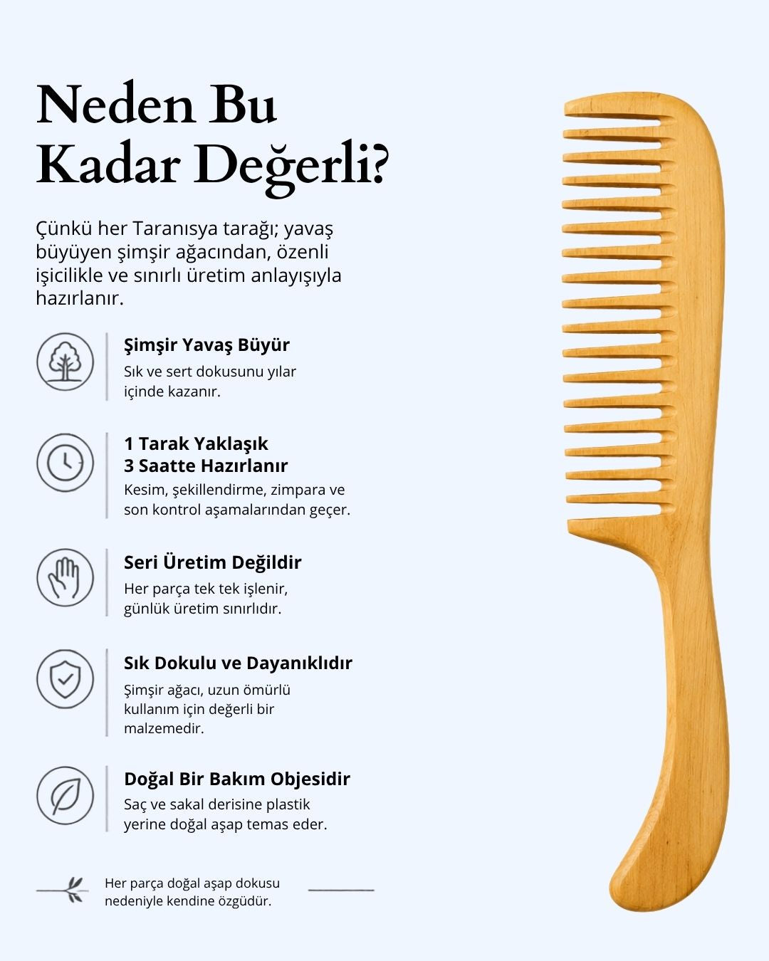 Kepek, Egzama, Sedef ve Saç Derisi Problemleri Azalt | Doğal Şimşir Tarak